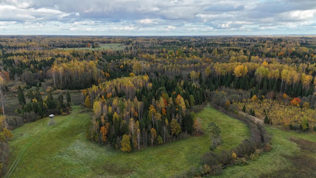 Putna lidojuma skatiens uz plašu rudens ainavu ar zaļām pļavām, krāsainiem lapkoku mežiem dzeltenās un oranžās toņos